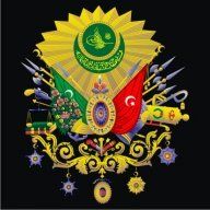 vedat41