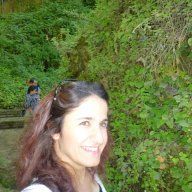 Songül Giçer