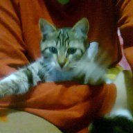 ceren cansu