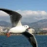 Serdar SEÇGİN